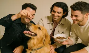 illustration for distract